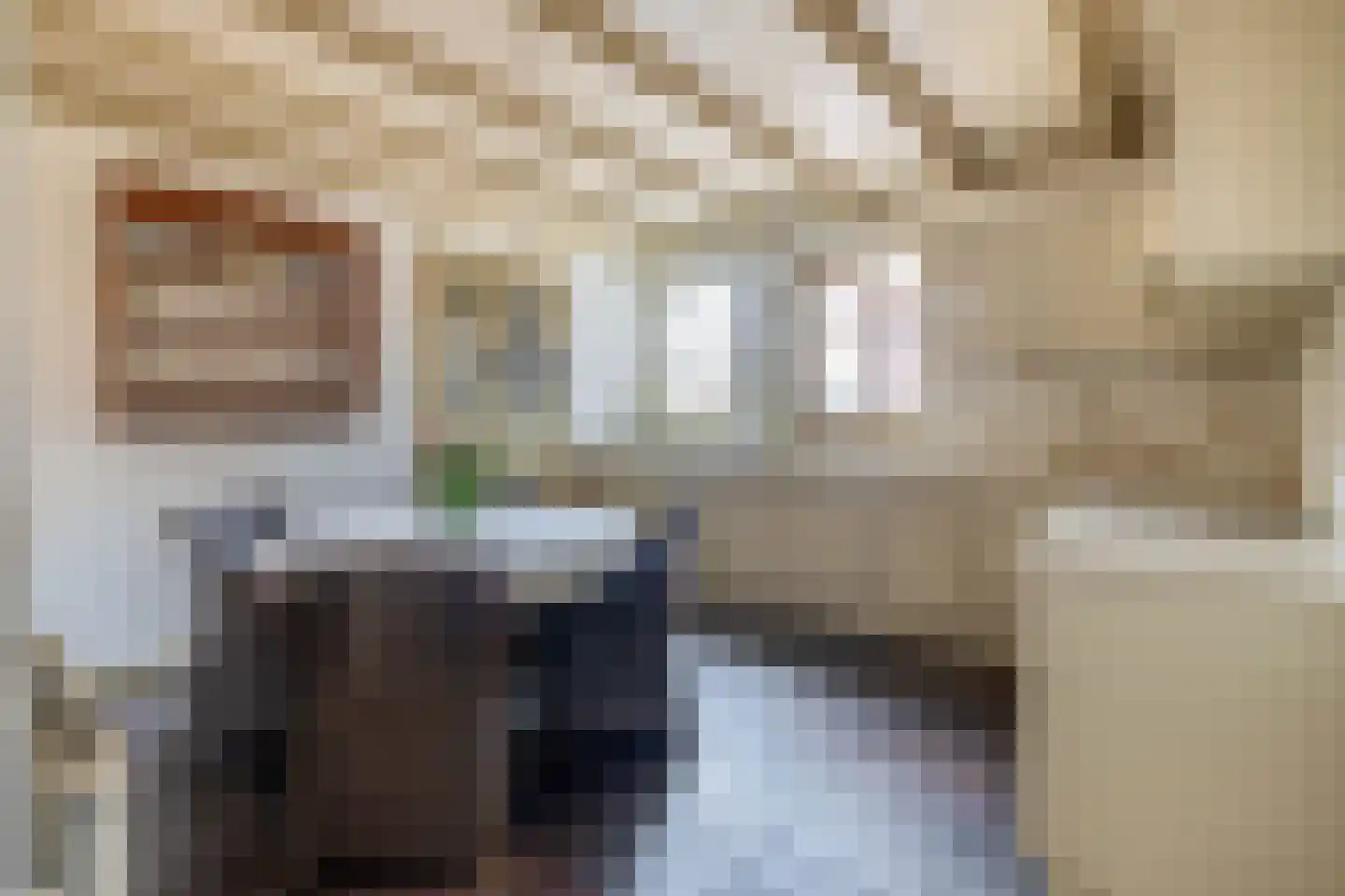Zandvliet 10 Veghel thumbnail 12