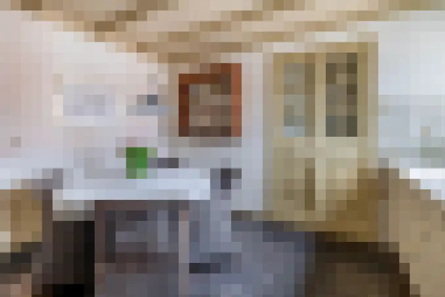 Zandvliet 10 Veghel thumbnail 14
