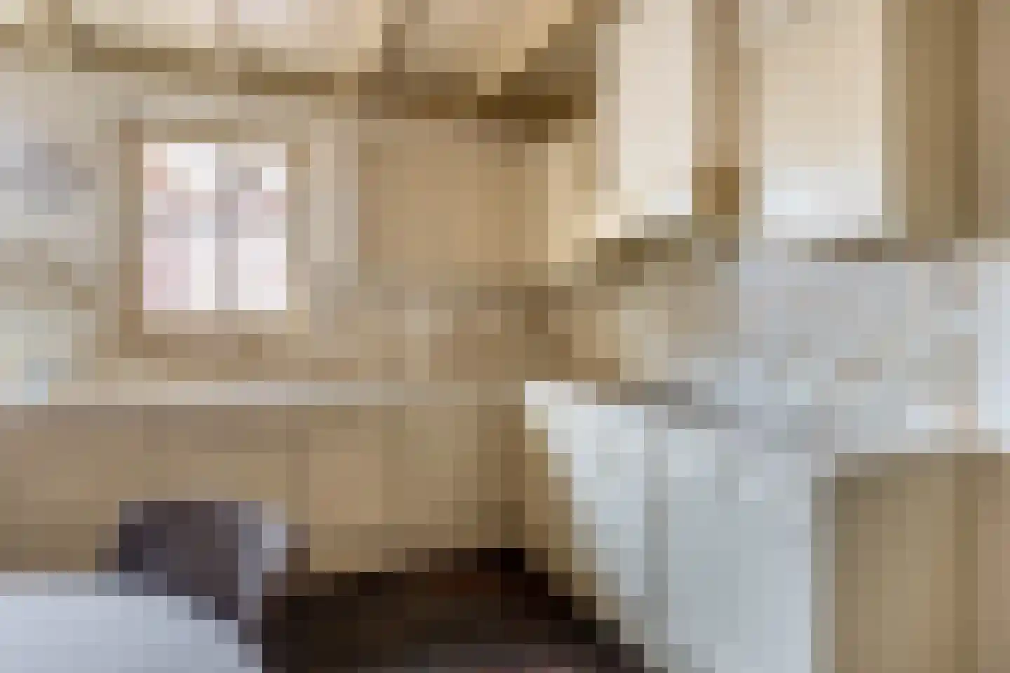 Zandvliet 10 Veghel thumbnail 15