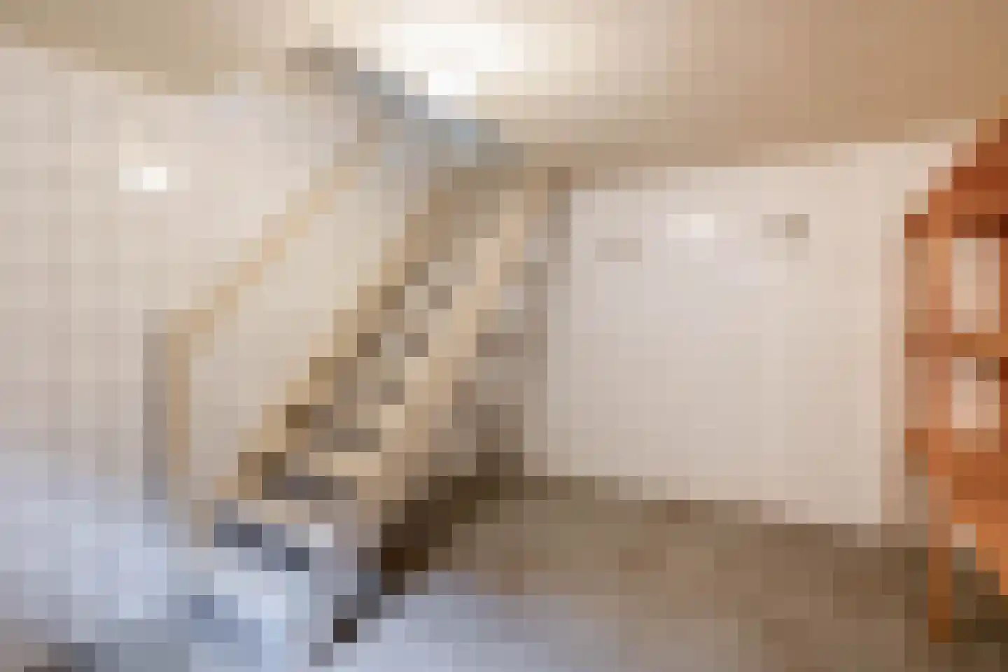 Zandvliet 10 Veghel thumbnail 16