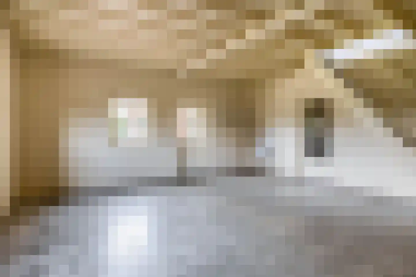 Zandvliet 10 Veghel thumbnail 23