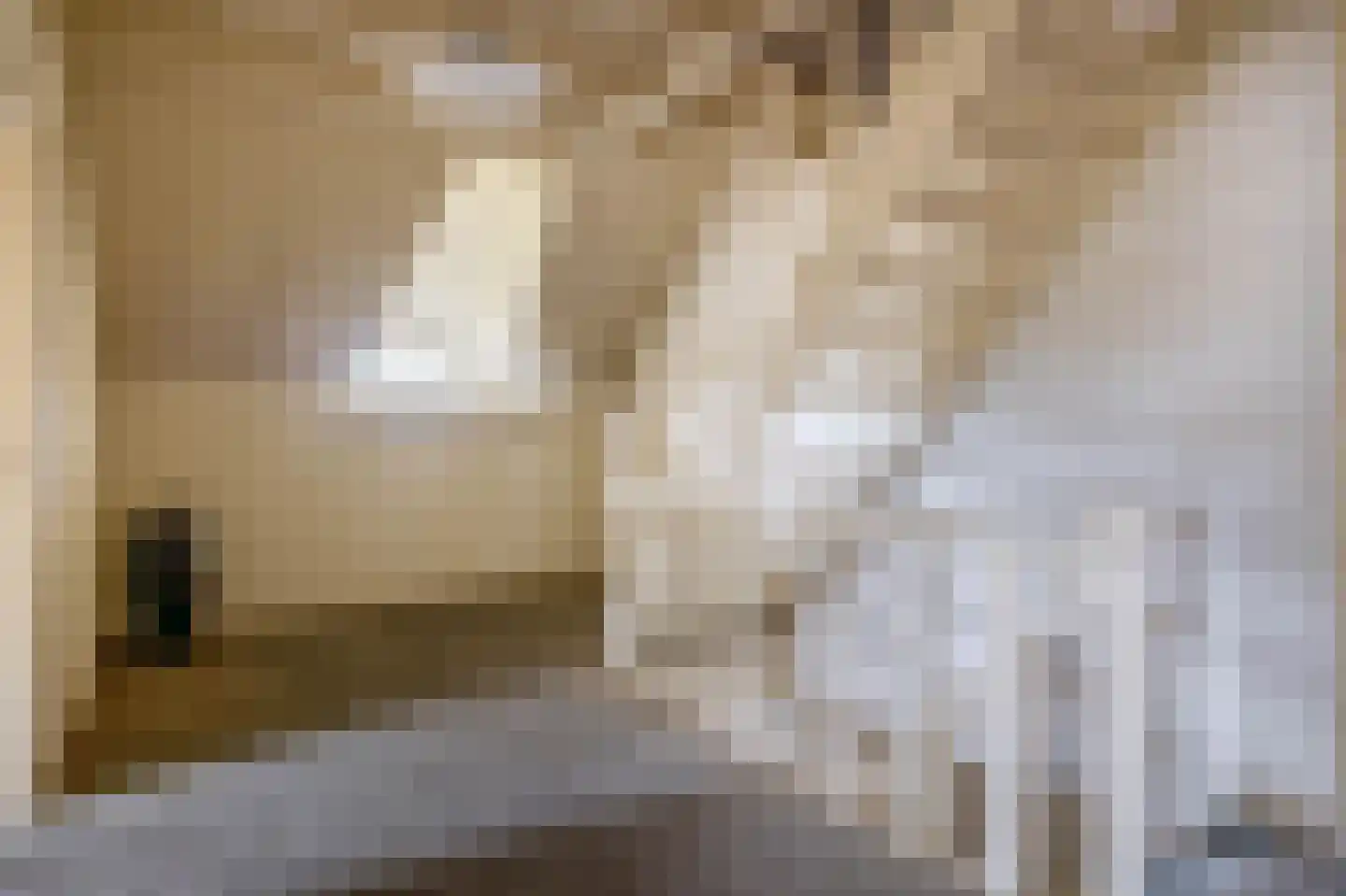 Zandvliet 10 Veghel thumbnail 24