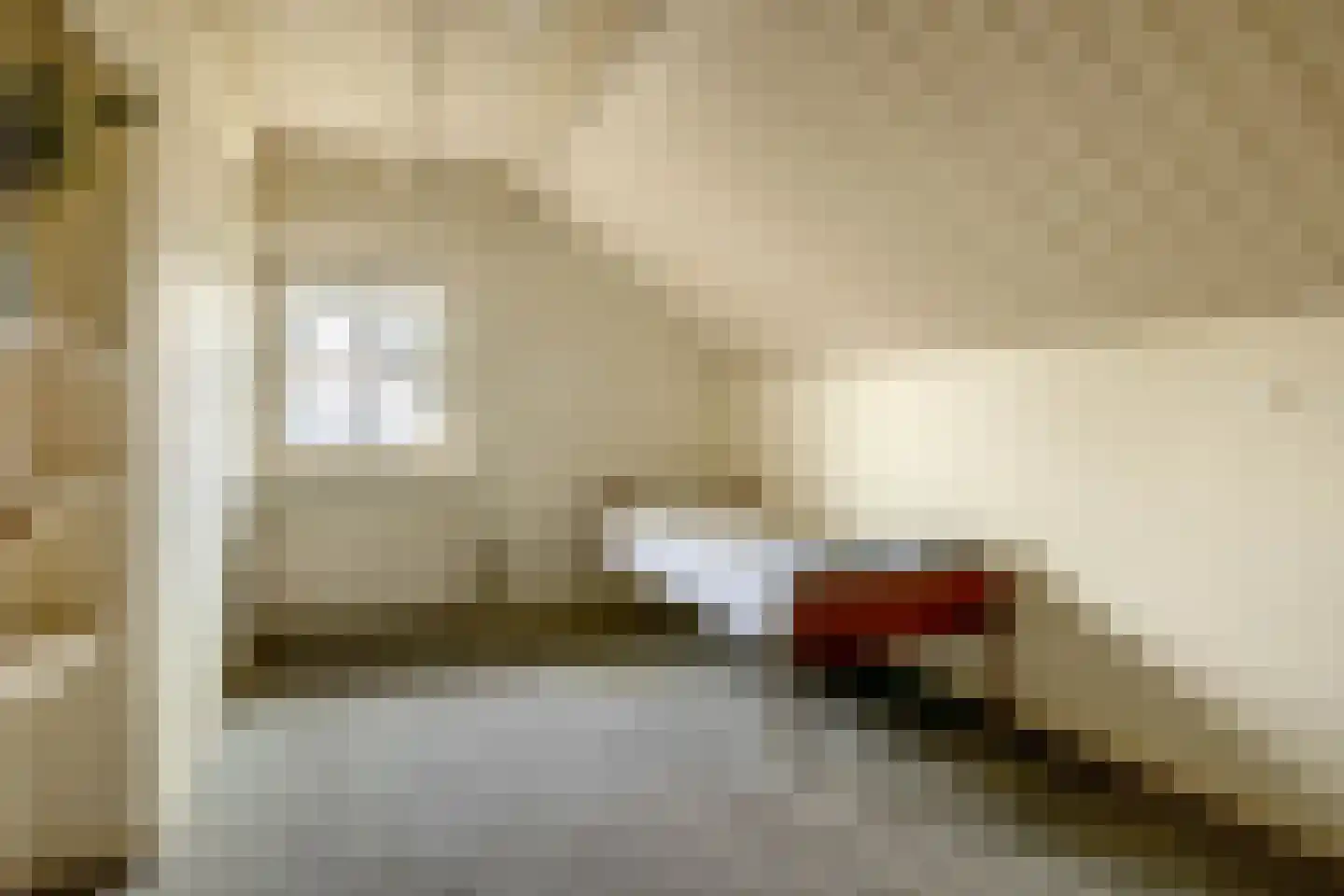 Zandvliet 10 Veghel thumbnail 28