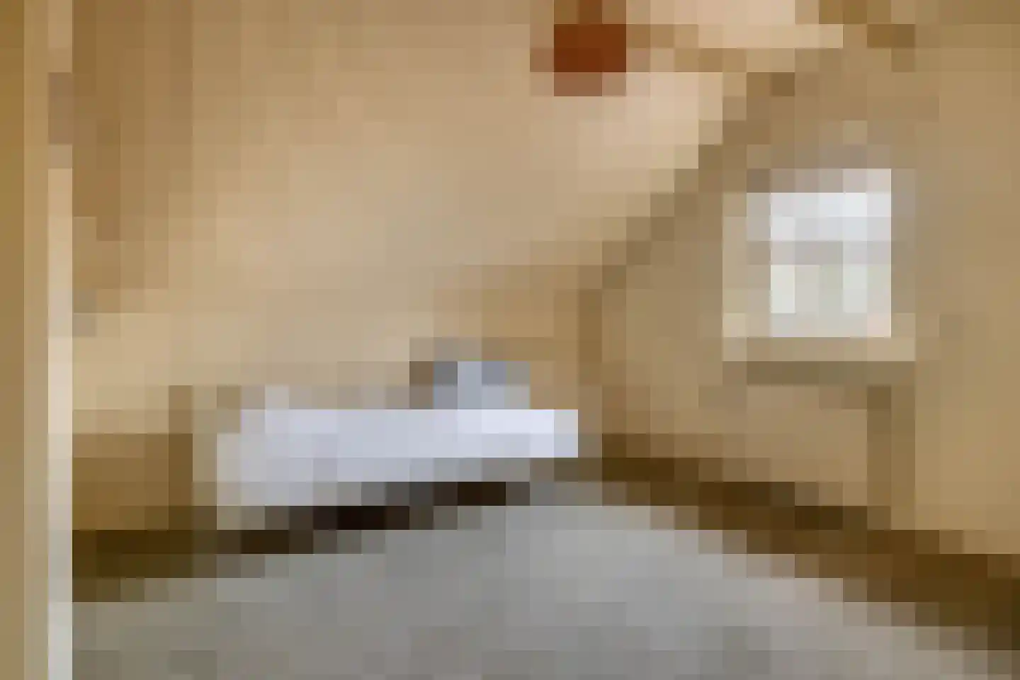 Zandvliet 10 Veghel thumbnail 30