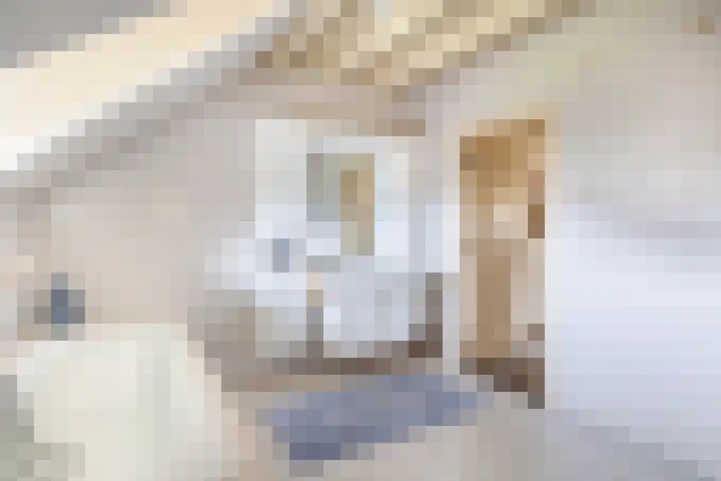 Zandvliet 10 Veghel thumbnail 32