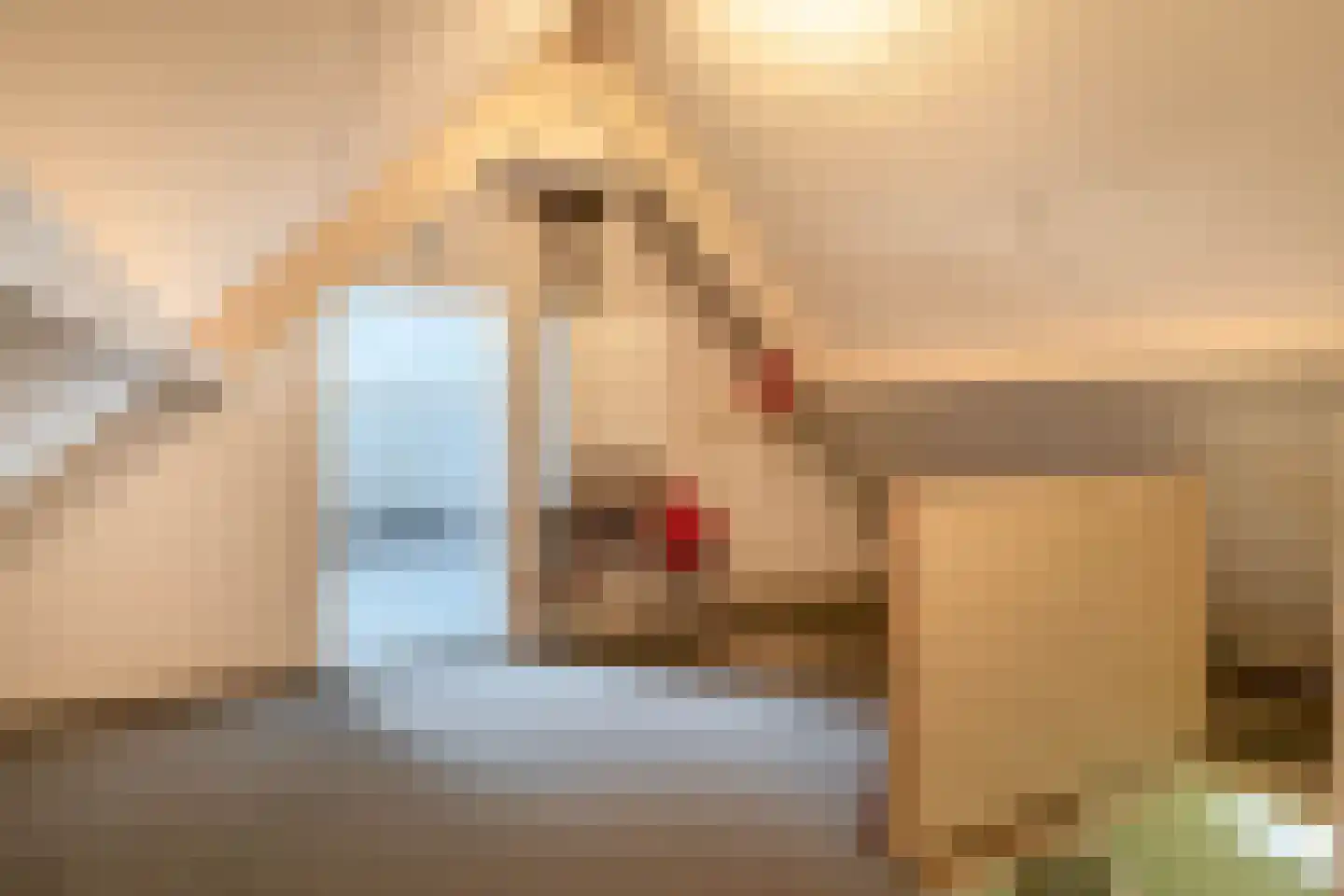 Zandvliet 10 Veghel thumbnail 34