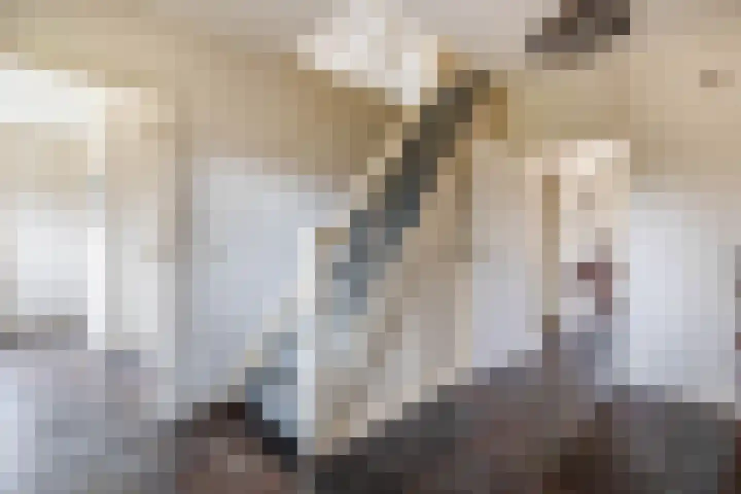 Zandvliet 10 Veghel thumbnail 4