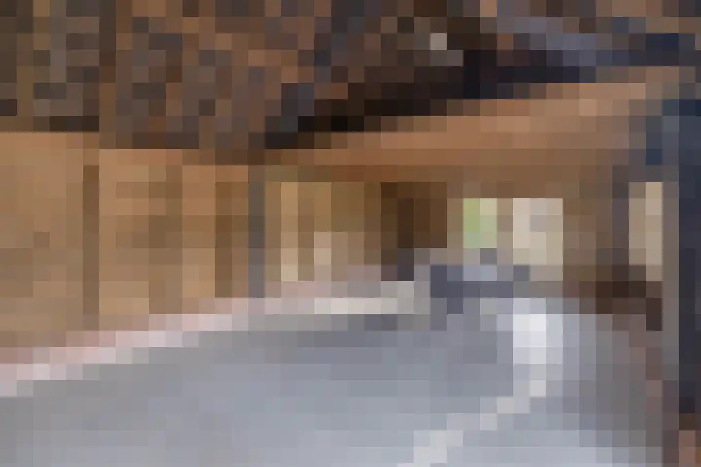 Zandvliet 10 Veghel thumbnail 40