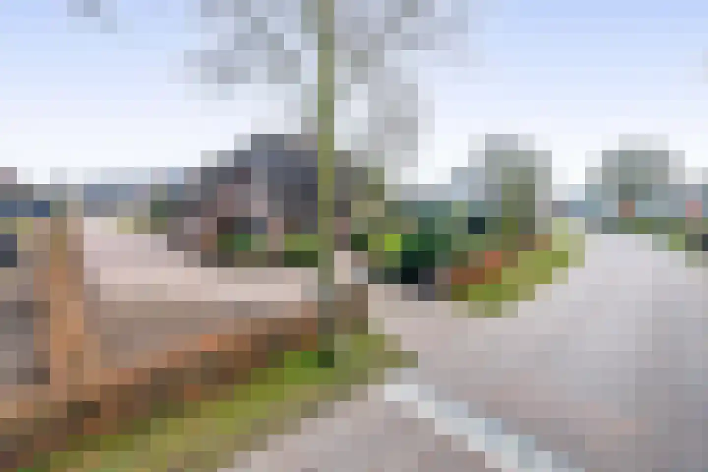 Zandvliet 10 Veghel thumbnail 48