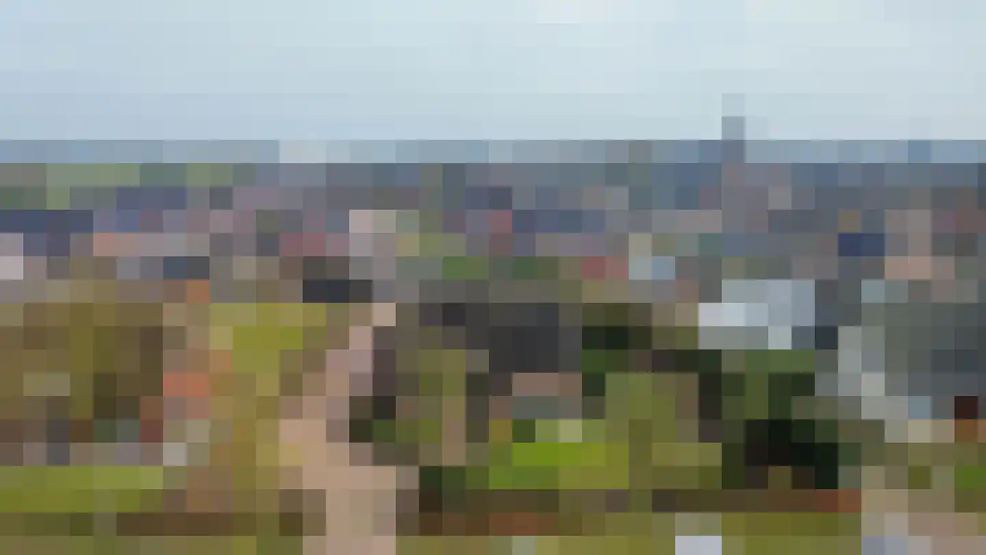 Zandvliet 10 Veghel thumbnail 49