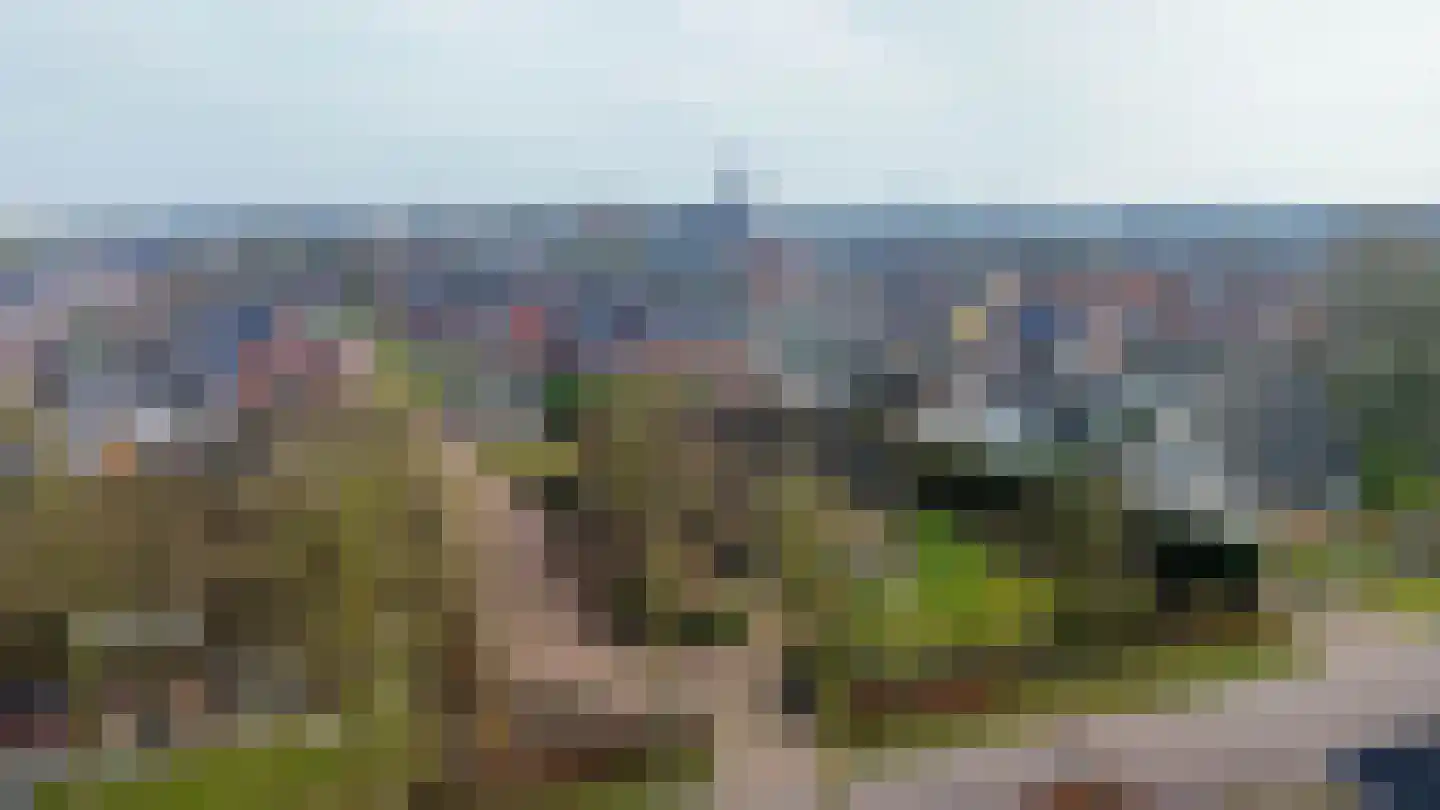 Zandvliet 10 Veghel thumbnail 50