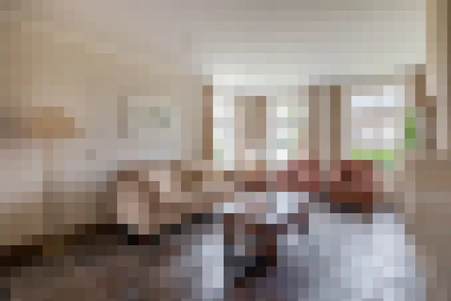 Zandvliet 10 Veghel thumbnail 9