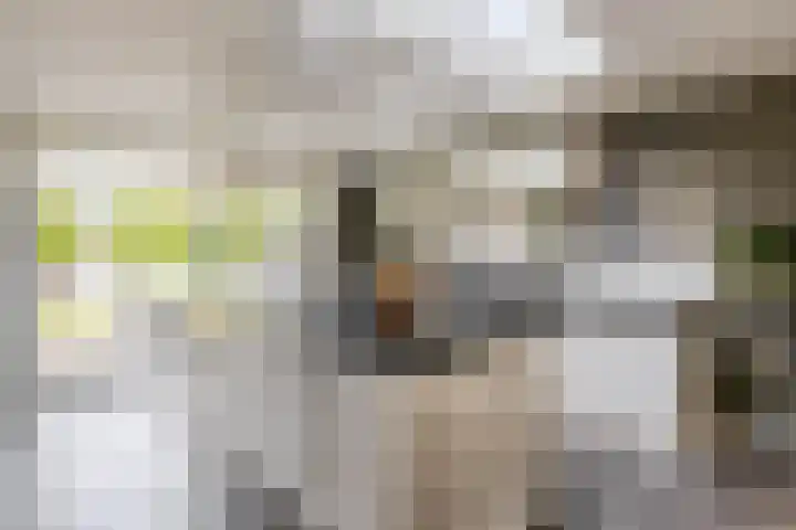 Zandvliet 5 Veghel thumbnail 10