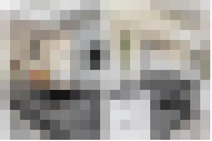 Zandvliet 5 Veghel thumbnail 11