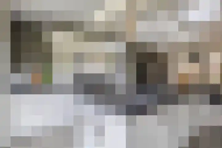 Zandvliet 5 Veghel thumbnail 12