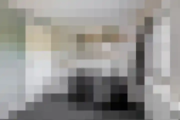 Zandvliet 5 Veghel thumbnail 16