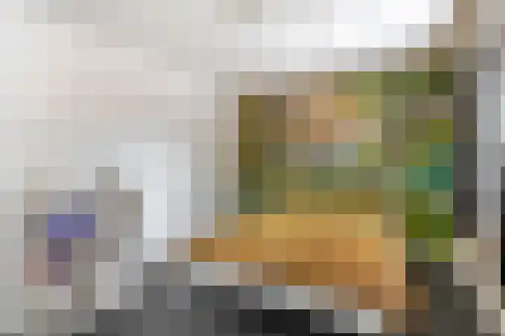 Zandvliet 5 Veghel thumbnail 17