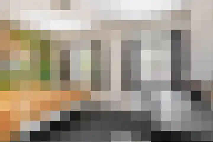 Zandvliet 5 Veghel thumbnail 18