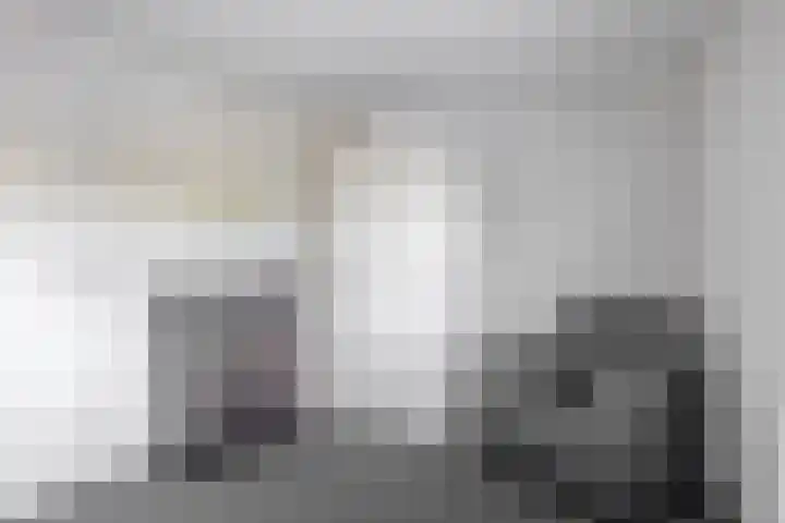 Zandvliet 5 Veghel thumbnail 19