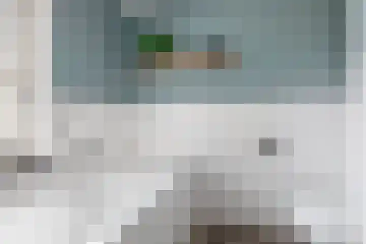 Zandvliet 5 Veghel thumbnail 22