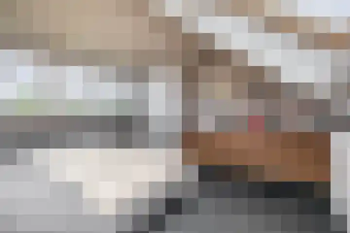 Zandvliet 5 Veghel thumbnail 26