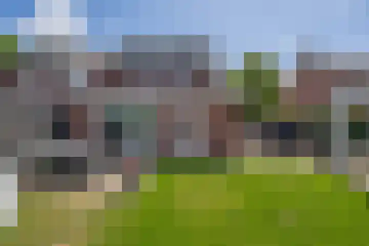 Zandvliet 5 Veghel thumbnail 31