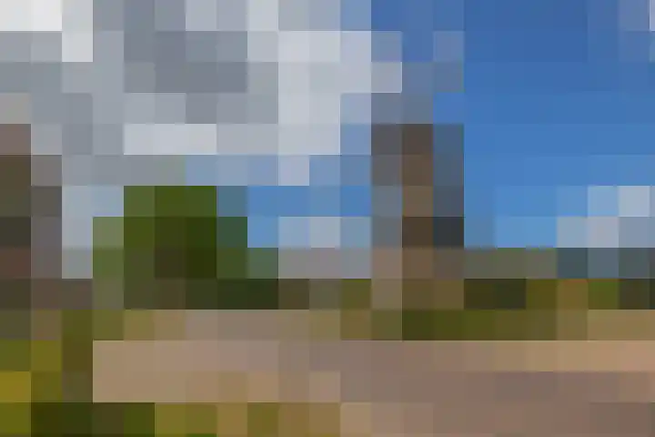 Zandvliet 5 Veghel thumbnail 34