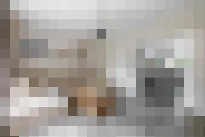 Zandvliet 5 Veghel thumbnail 4