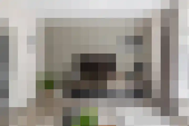 Zandvliet 5 Veghel thumbnail 5