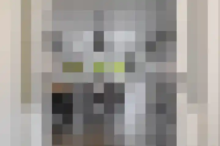 Zandvliet 5 Veghel thumbnail 6