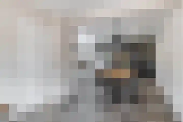 Zandvliet 5 Veghel thumbnail 8