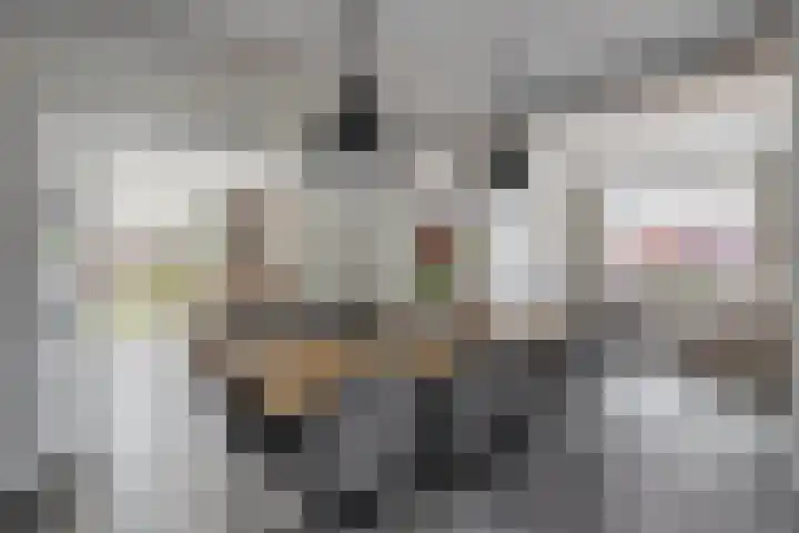 Zandvliet 5 Veghel thumbnail 9