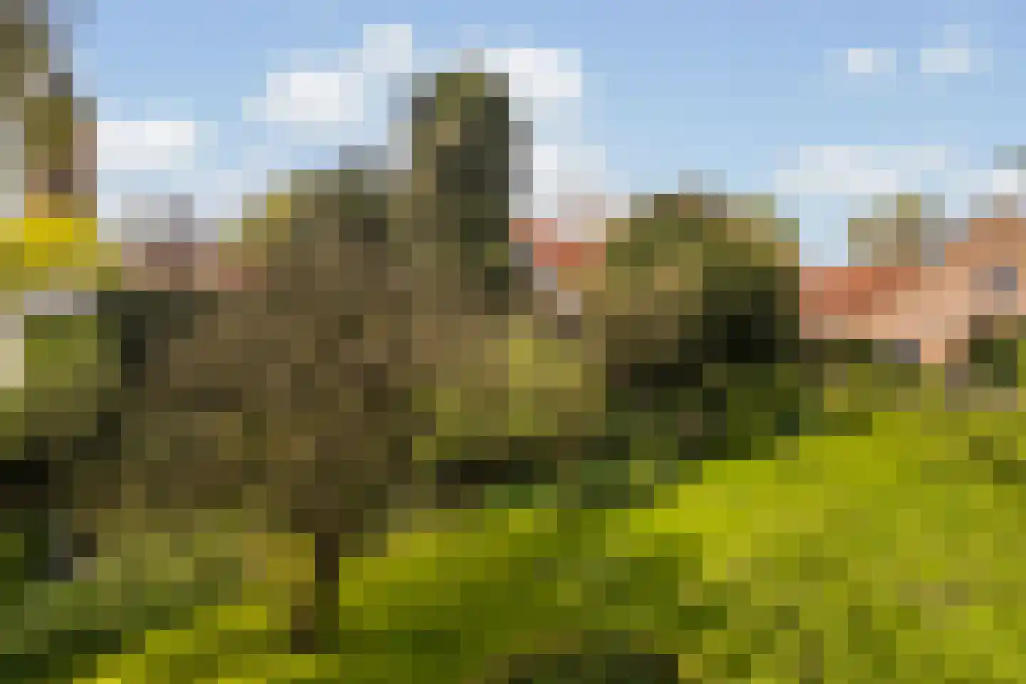 Zandvoort 1 Amerongen thumbnail 52