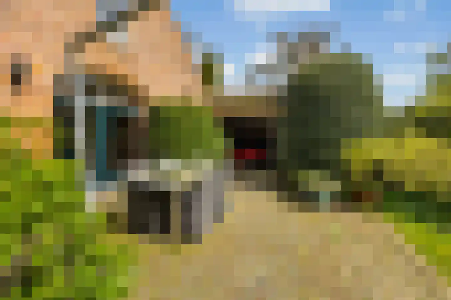 Zandvoort 1 Amerongen thumbnail 55