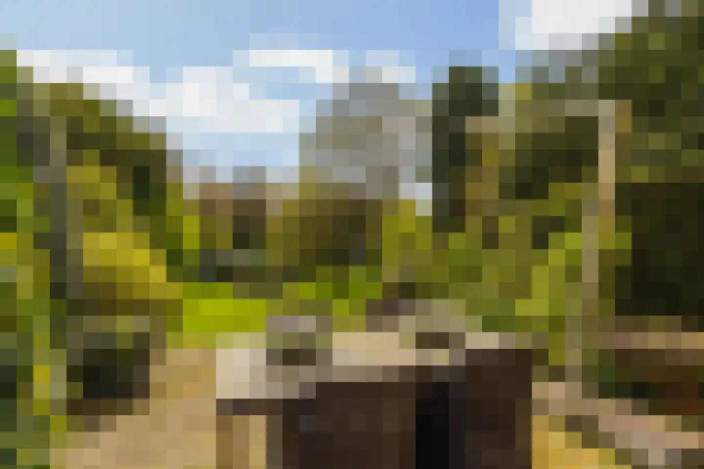 Zandvoort 1 Amerongen thumbnail 57