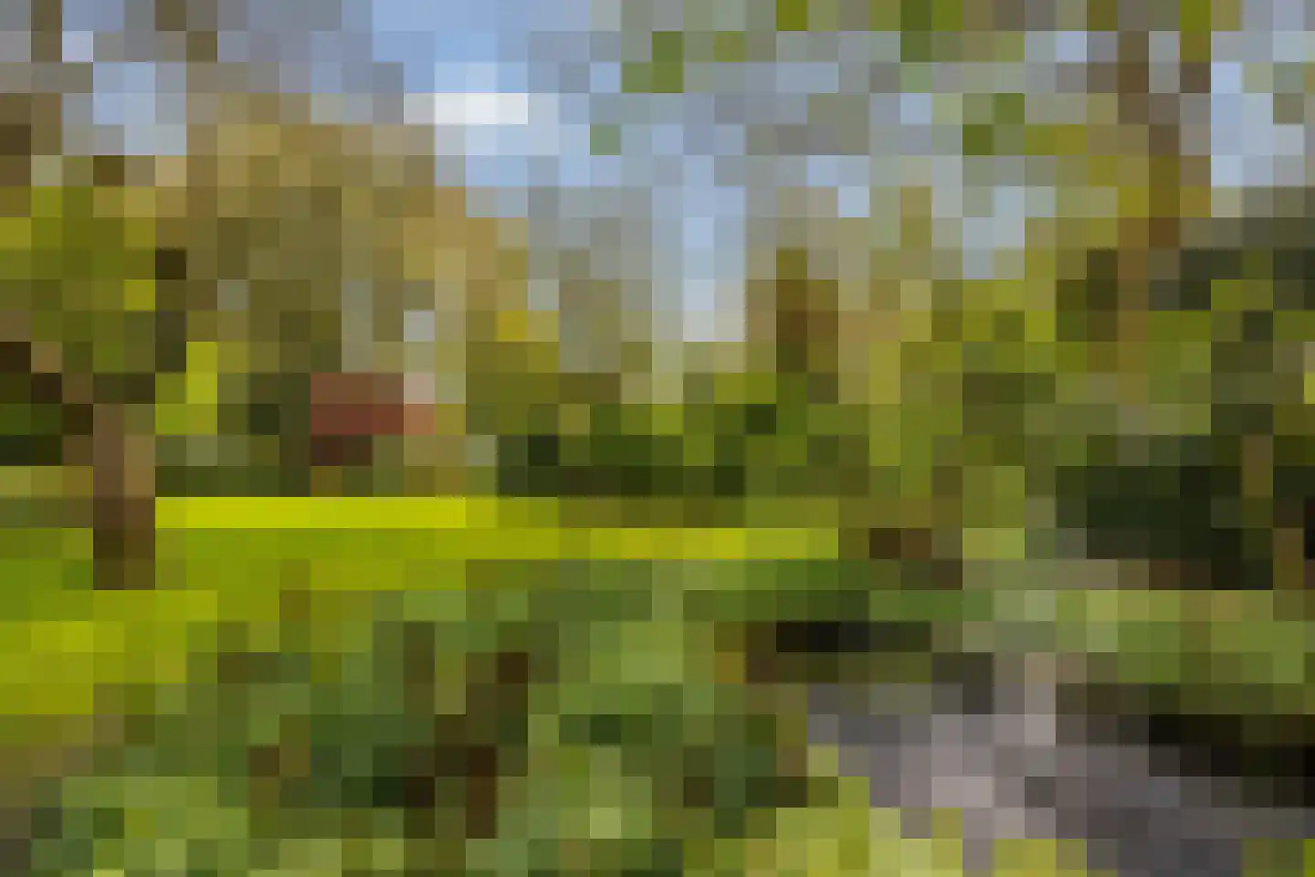 Zandvoort 1 Amerongen thumbnail 59
