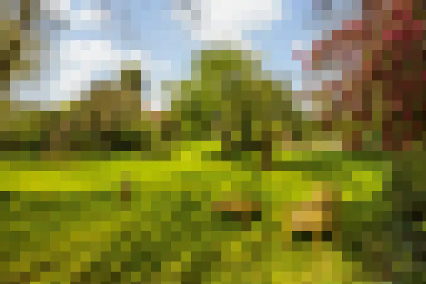 Zandvoort 1 Amerongen thumbnail 60