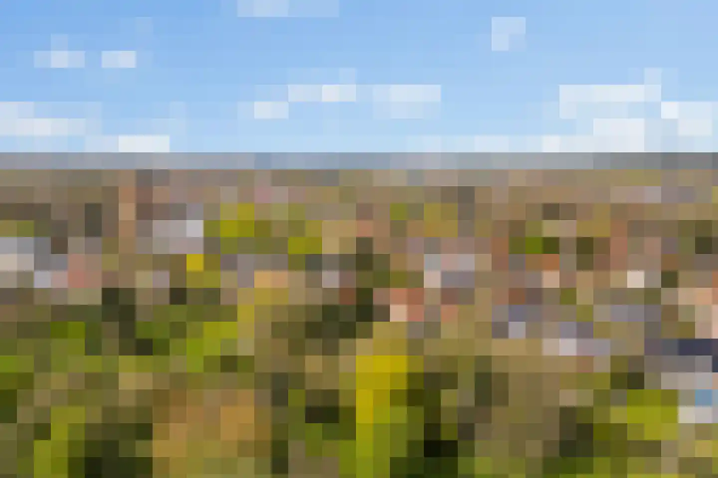 Zandvoort 1 Amerongen thumbnail 61