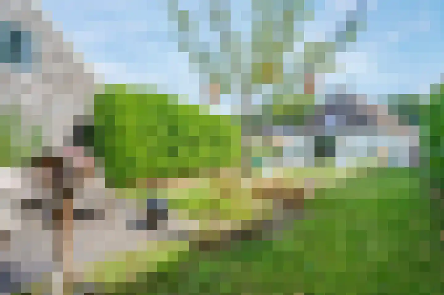 Zandvoort 10 Norg thumbnail 43