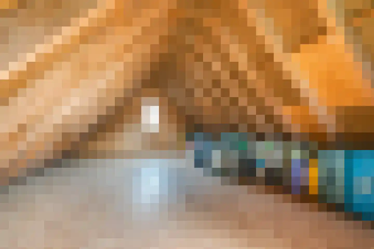 Zandvoort 10 Norg thumbnail 51
