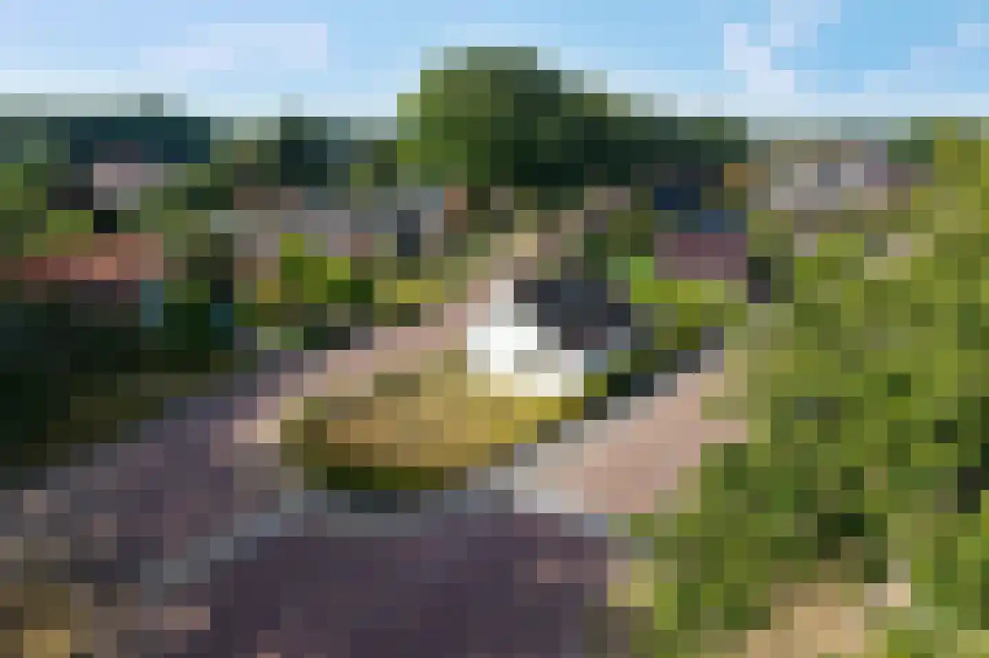 Zandvoort 10 Norg thumbnail 62