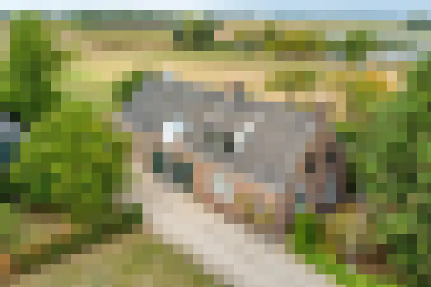Zandvoort 11 Gendt thumbnail 11