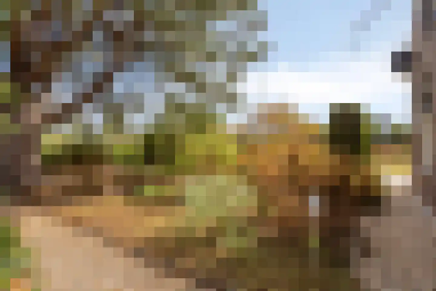 Zandvoort 11 Gendt thumbnail 5