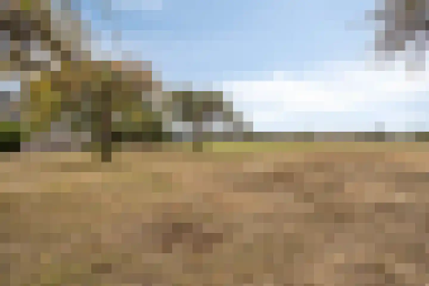 Zandvoort 11 Gendt thumbnail 51