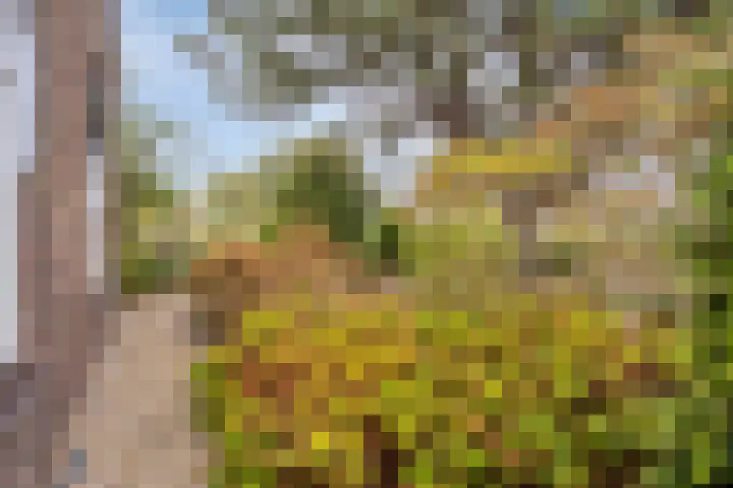 Zandvoort 11 Gendt thumbnail 6