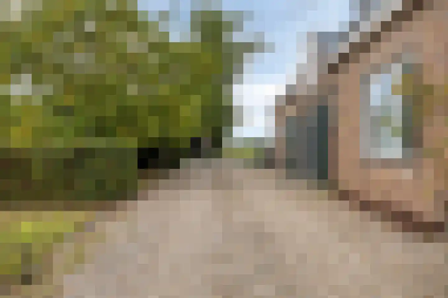 Zandvoort 11 Gendt thumbnail 7