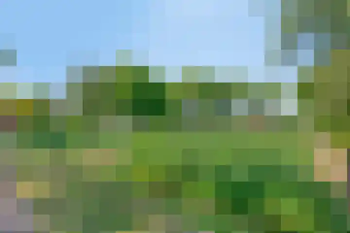 Zandvoort 14 Gieten thumbnail 10
