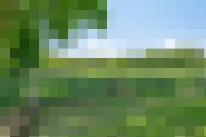 Zandvoort 14 Gieten thumbnail 11
