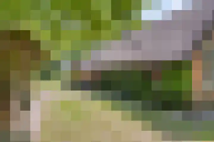 Zandvoort 14 Gieten thumbnail 40