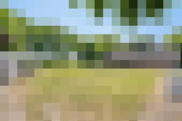 Zandvoort 14 Gieten thumbnail 41